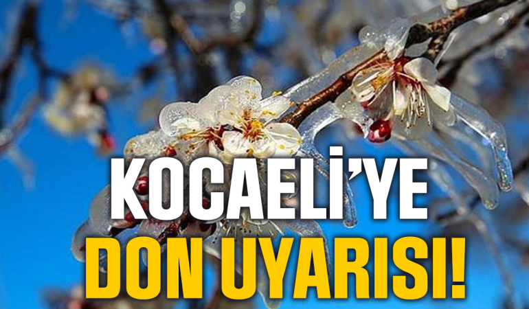 Kocaeli’de Zirai Don Alarmı: Soğuk Hava Dalgası Tarımı Tehdit Ediyor