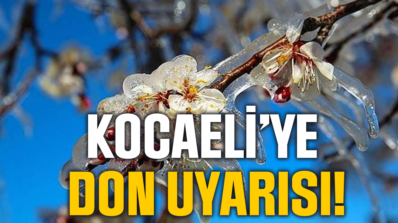 Kocaeli’de Zirai Don Alarmı: Soğuk Hava Dalgası Tarımı Tehdit Ediyor