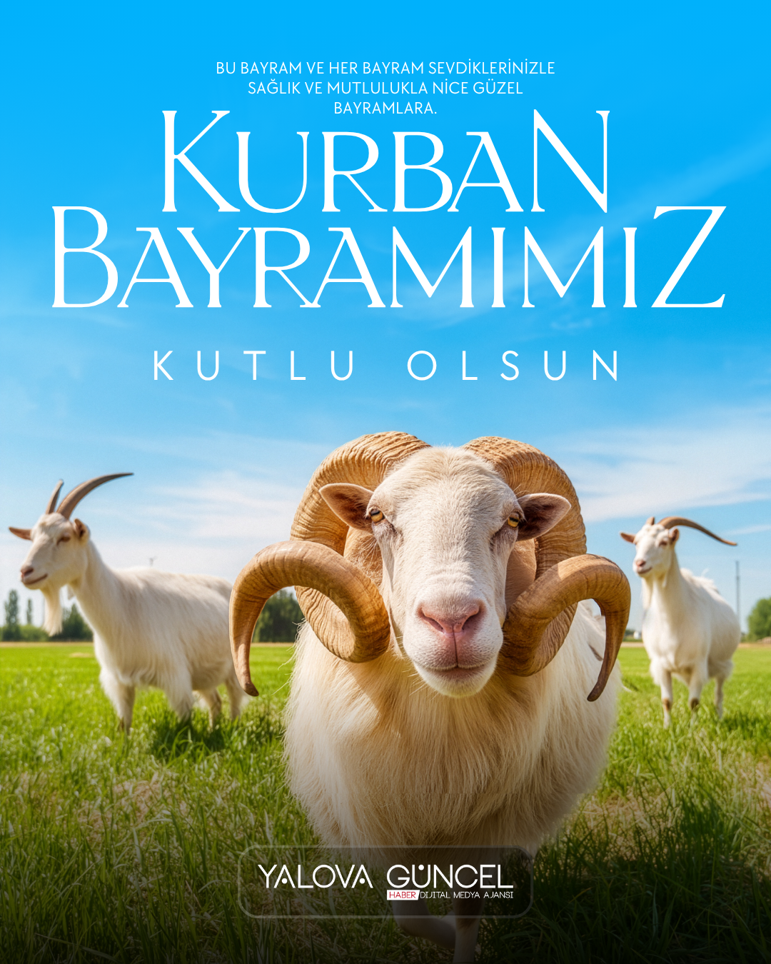 Yalova Valisi Ahmet Hamdi Usta'nın Kurban Bayramı Mesajı