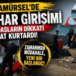 Karamürsel Sahilinde Can Pazarı: İntihar Girişimi Son Anda Engellendi