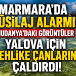 Bursa Kıyılarında Ortaya Çıkan Görüntüler Endişe Yarattı