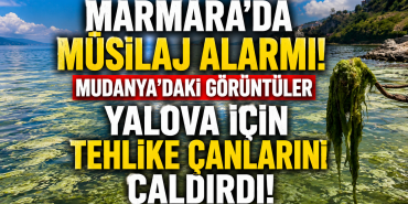 Bursa Kıyılarında Ortaya Çıkan Görüntüler Endişe Yarattı