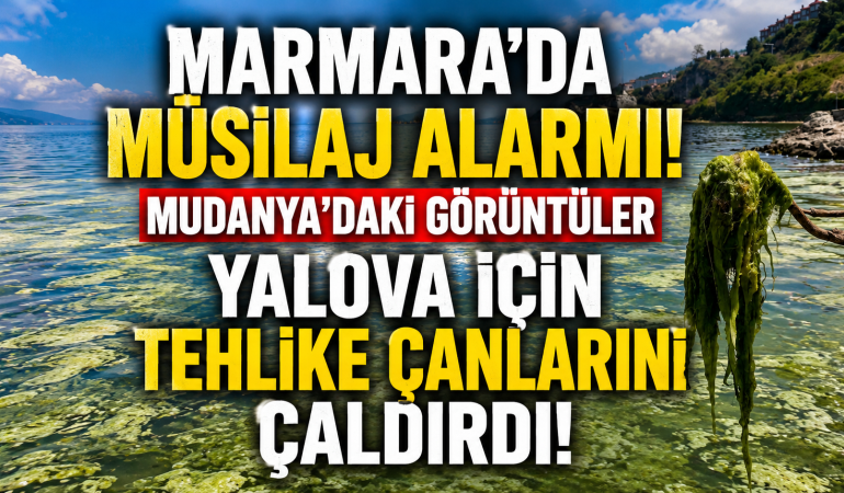 Bursa Kıyılarında Ortaya Çıkan Görüntüler Endişe Yarattı