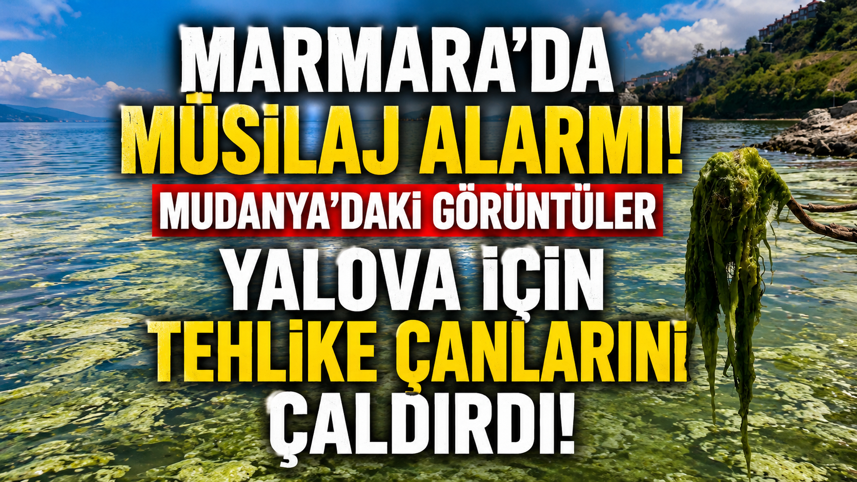 Bursa Kıyılarında Ortaya Çıkan Görüntüler Endişe Yarattı