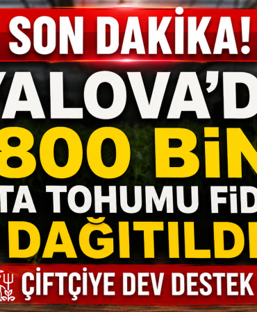 800 BİN ATA TOHUMU FİDESİ ÜRETİCİLERLE BULUŞTU