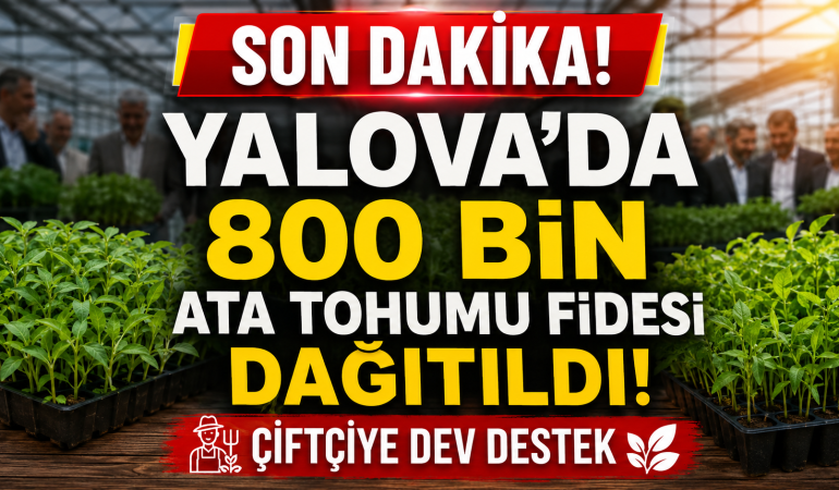 800 BİN ATA TOHUMU FİDESİ ÜRETİCİLERLE BULUŞTU