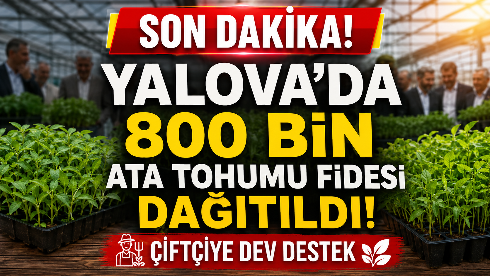 800 BİN ATA TOHUMU FİDESİ ÜRETİCİLERLE BULUŞTU