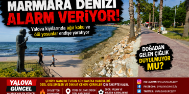 Marmara Denizi Alarm Veriyor: Yalova Sahillerinden Yükselen Koku Çevre Felaketinin Habercisi
