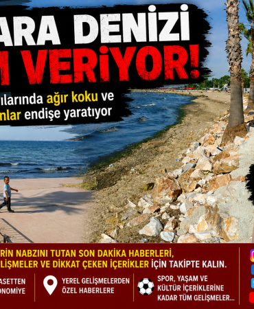 Marmara Denizi Alarm Veriyor: Yalova Sahillerinden Yükselen Koku Çevre Felaketinin Habercisi