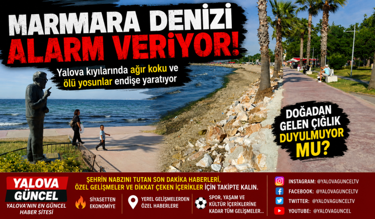 Marmara Denizi Alarm Veriyor: Yalova Sahillerinden Yükselen Koku Çevre Felaketinin Habercisi