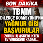 TBMM Dilekçe Komisyonu’na Şaşırtan Talepler