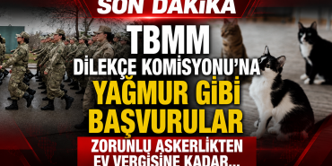 TBMM Dilekçe Komisyonu’na Şaşırtan Talepler