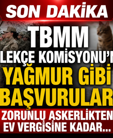 TBMM Dilekçe Komisyonu’na Şaşırtan Talepler