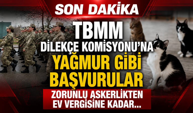 TBMM Dilekçe Komisyonu’na Şaşırtan Talepler