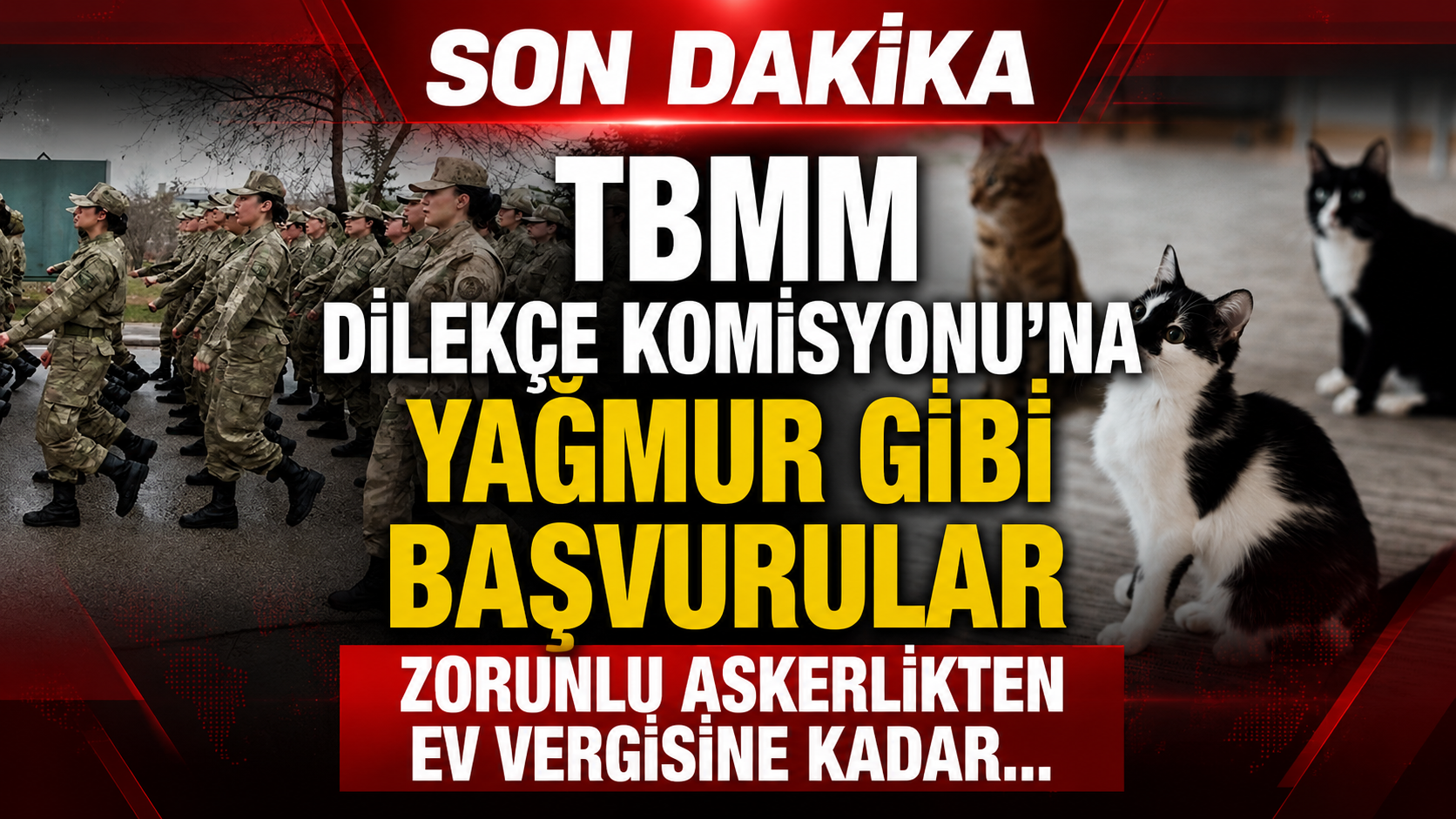 TBMM Dilekçe Komisyonu’na Şaşırtan Talepler