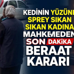 Kedinin Yüzüne Sprey Sıkan Kadına Mahkemeden Beraat Kararı: Olayda Yeni Gelişme
