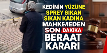 Kedinin Yüzüne Sprey Sıkan Kadına Mahkemeden Beraat Kararı: Olayda Yeni Gelişme