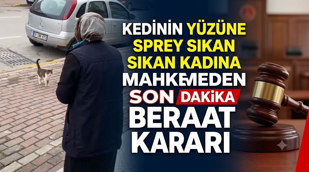 Kedinin Yüzüne Sprey Sıkan Kadına Mahkemeden Beraat Kararı: Olayda Yeni Gelişme