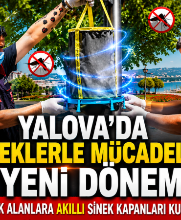 Yalova’da Sineklerle Mücadelede Yeni Dönem: Ortak Alanlara Akıllı Sinek Kapanları Kuruldu