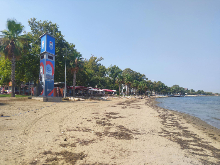 Yalova'da Deniz Suyu Alarmı: İki Popüler Plajda Su Kalitesi Düştü